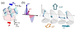 らせん磁性体でのエレクトロまぐノンの電気磁気光学効果の説明図